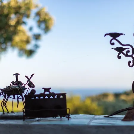 Сasa de vacaciones Golden Summerhouse